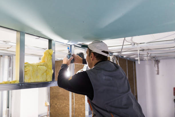 Best Commercial Insulation Services  in Castlewood, VA